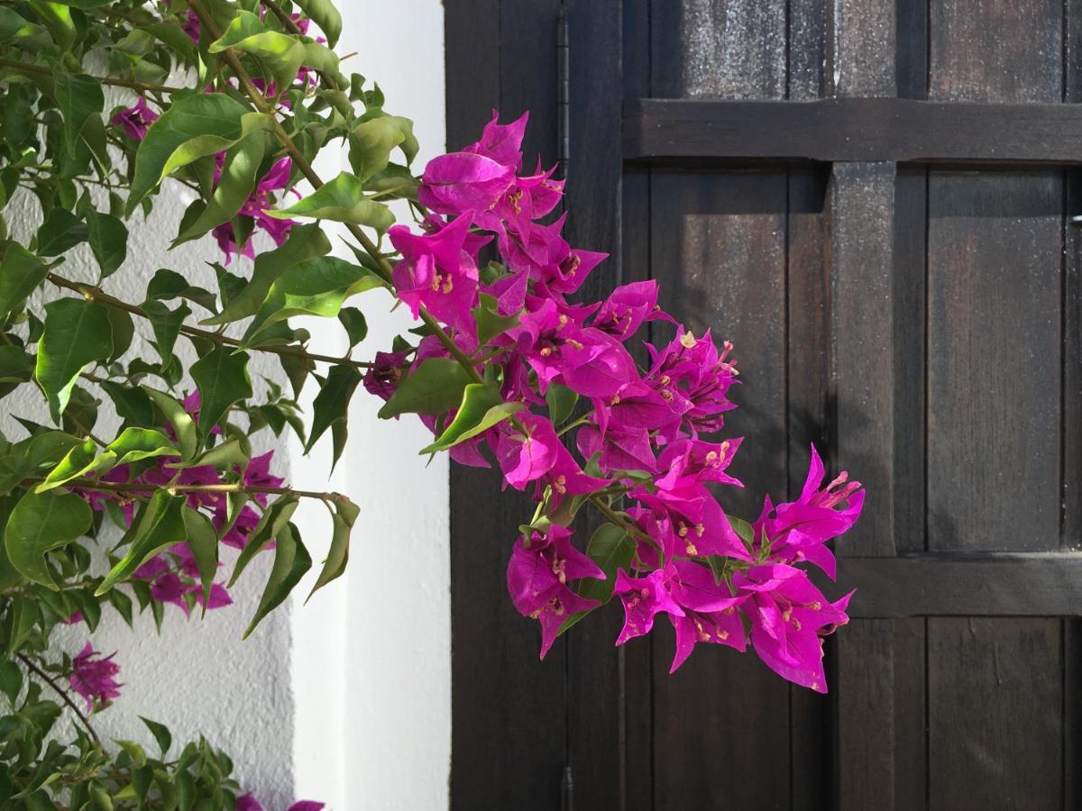 De La Luz Bed & Breakfast El Portil