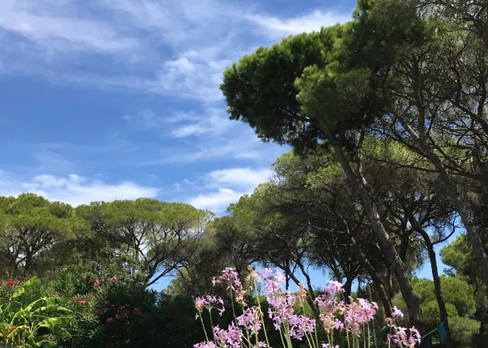 Villa De La Luz Luxury Guesthouse