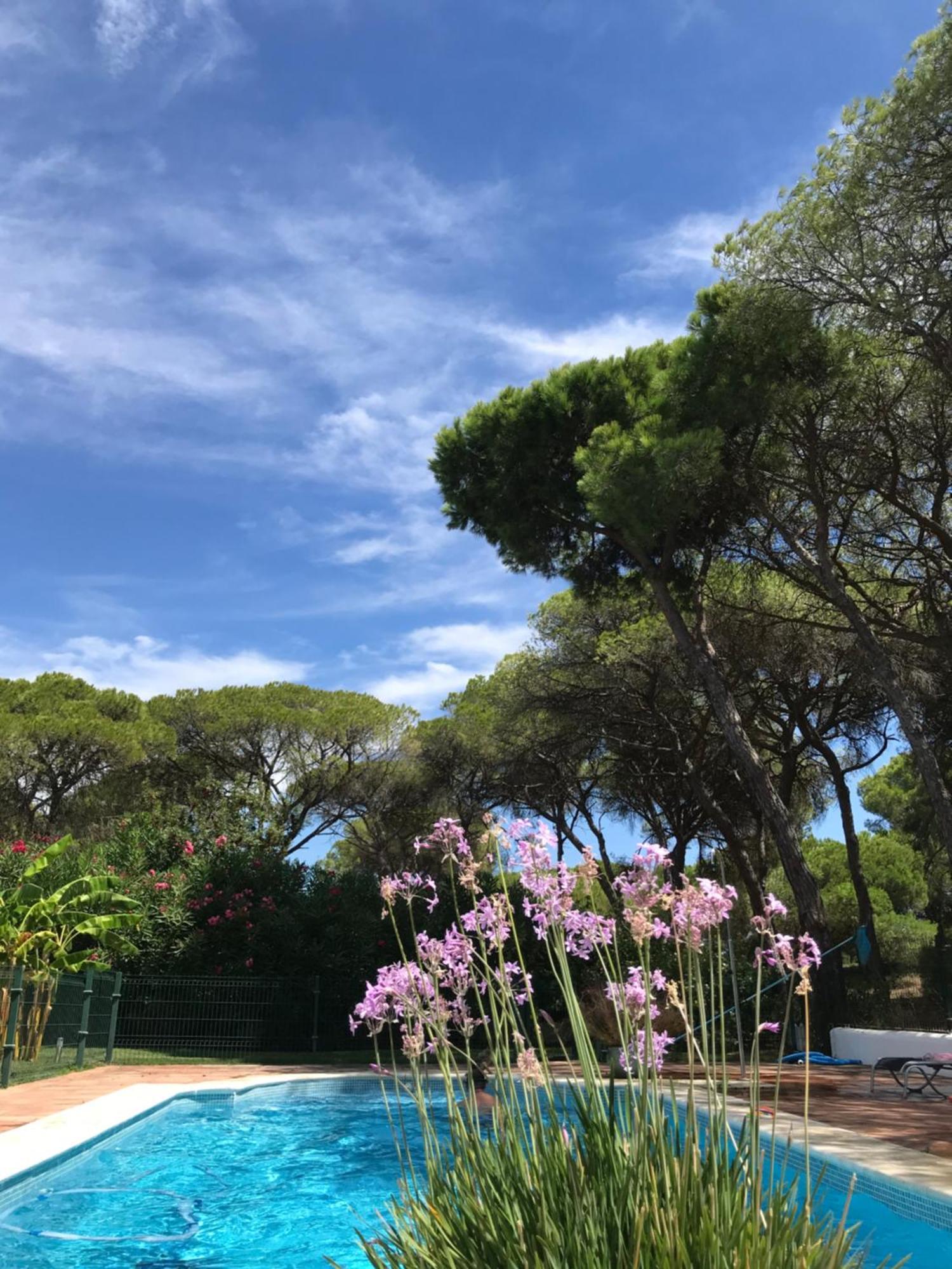 De La Luz Luxury Bed & Breakfast El Portil